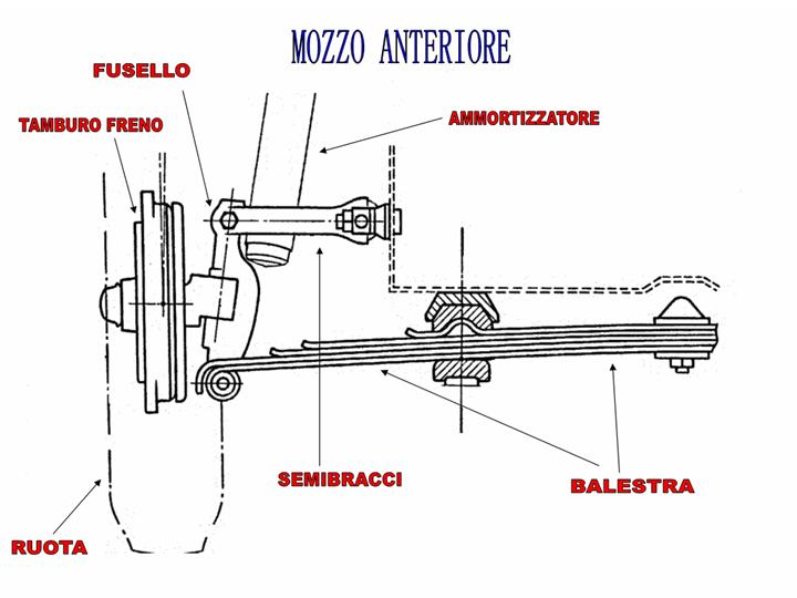 mozzo_anteriore.jpg