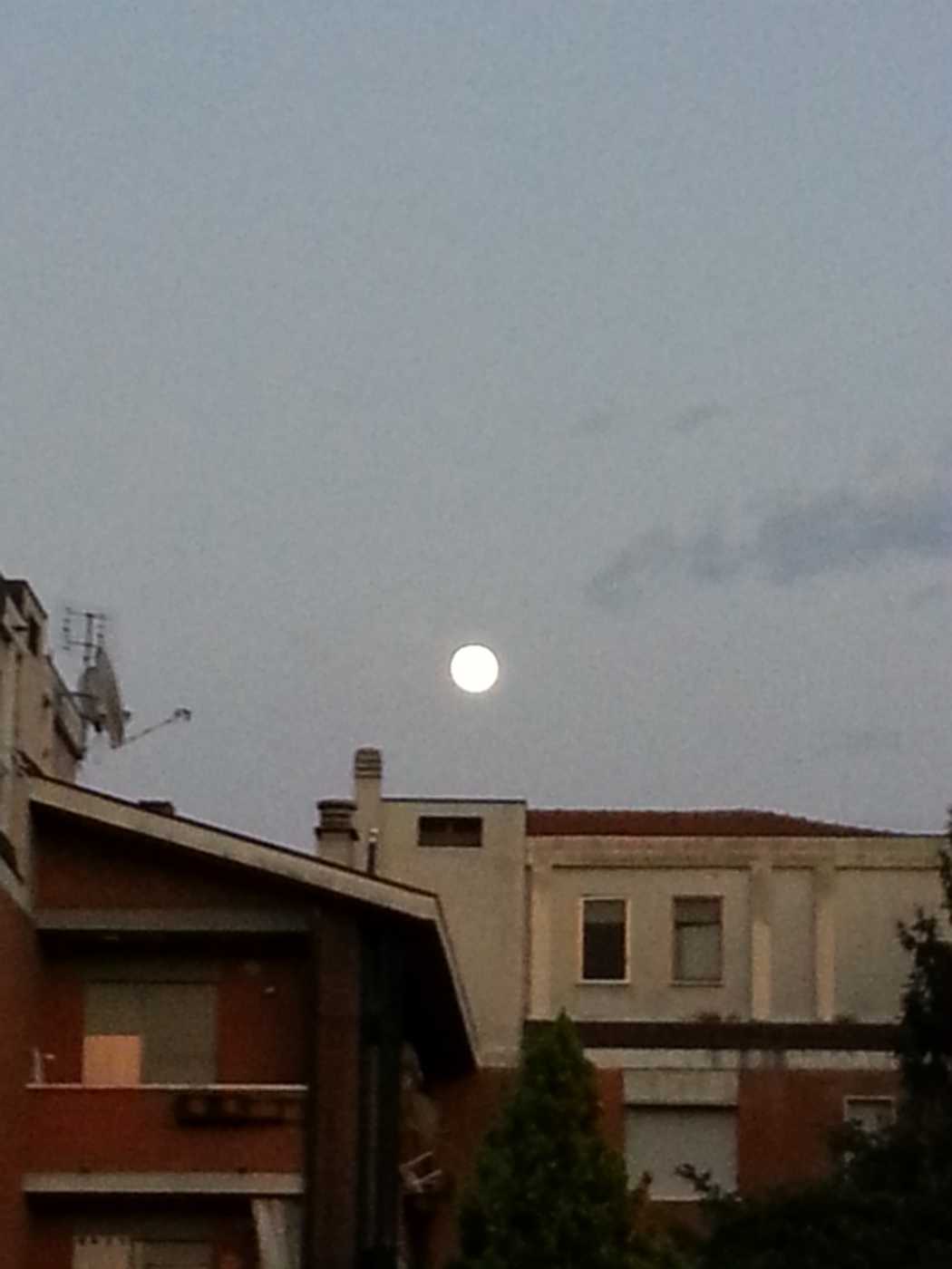 20130819_204256.jpg