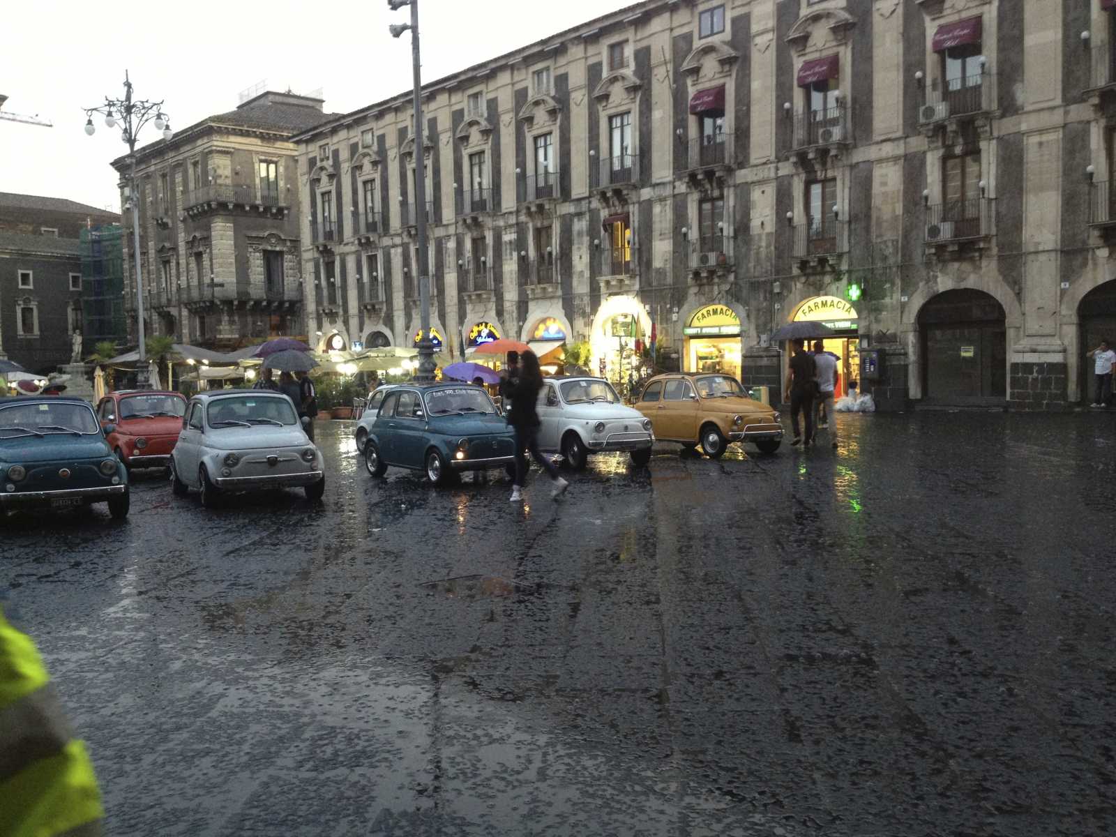 IMG_2377.jpg