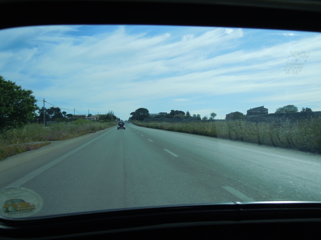 DSCN6613.JPG