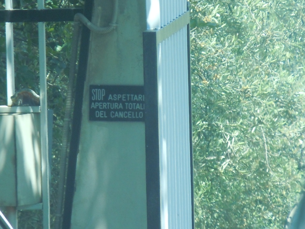 DSCN6734.JPG