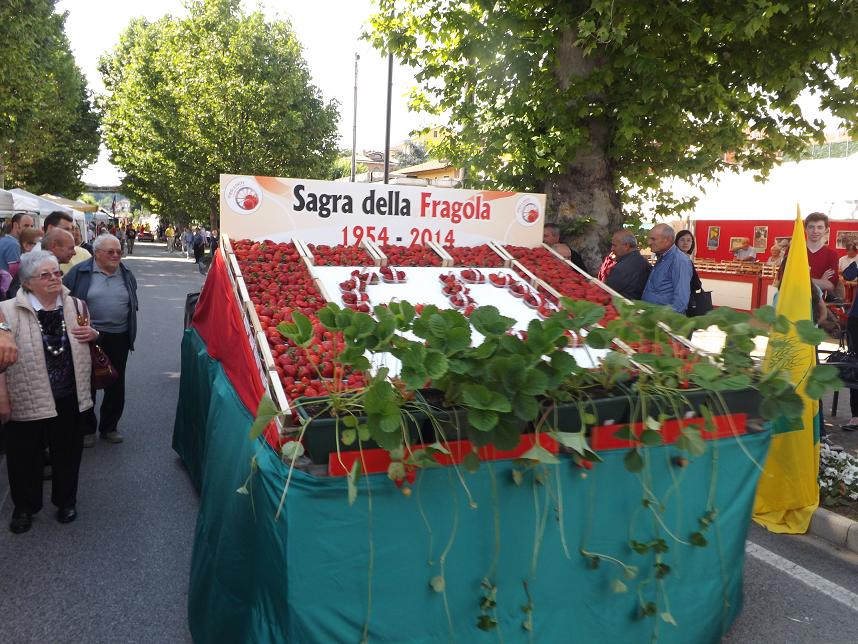 DSCF2402.jpg