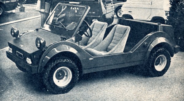 fiat_126_inderstor_buggy_01.jpg